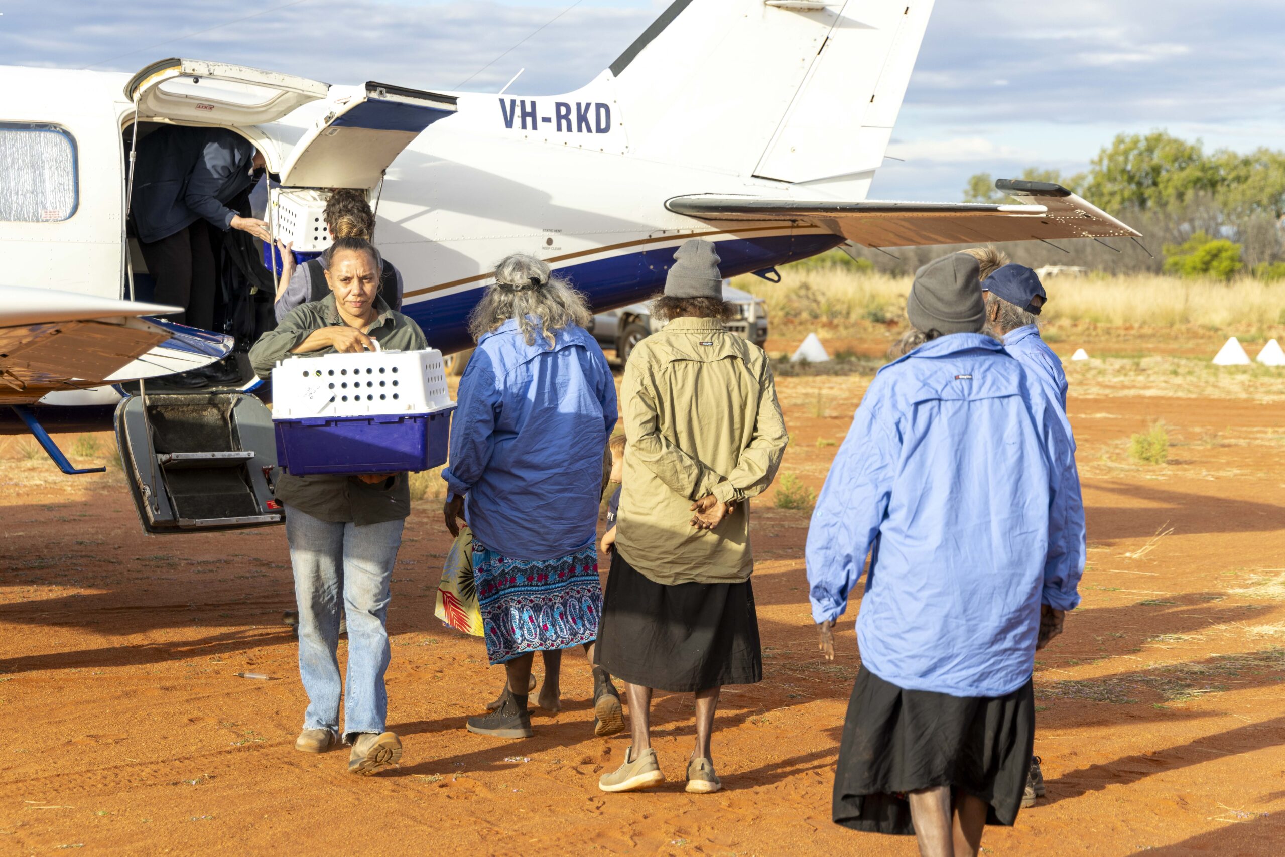 Image for article: Possums welcomed back to Country in Red Centre