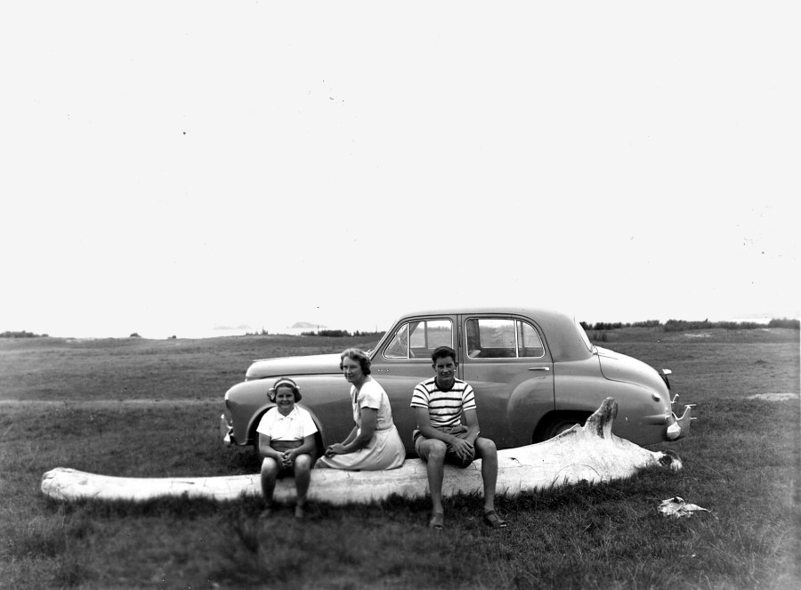 Children sitting on a whale bone in front of a car by the beach. In the early 1950s Batemans Bay locals Maree, Lorna and Malcolm Morgan picnicked around the jawbone of a whale thought to have been killed by the Australian Defence Force.