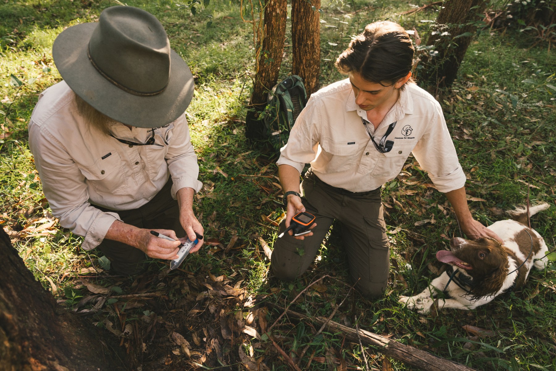 Jack Nesbitt and his mother, Lynn Baker, assisted by their canine companion, Max, collect koala scat from the forest floo