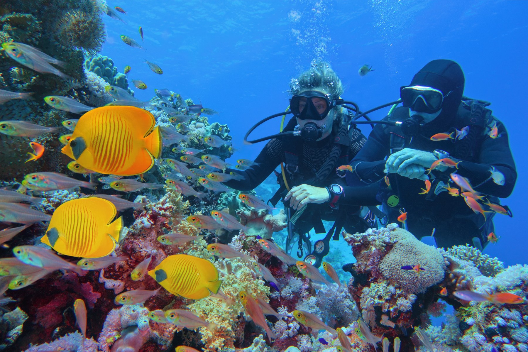 two scuba divers in the Great Barrier Reef